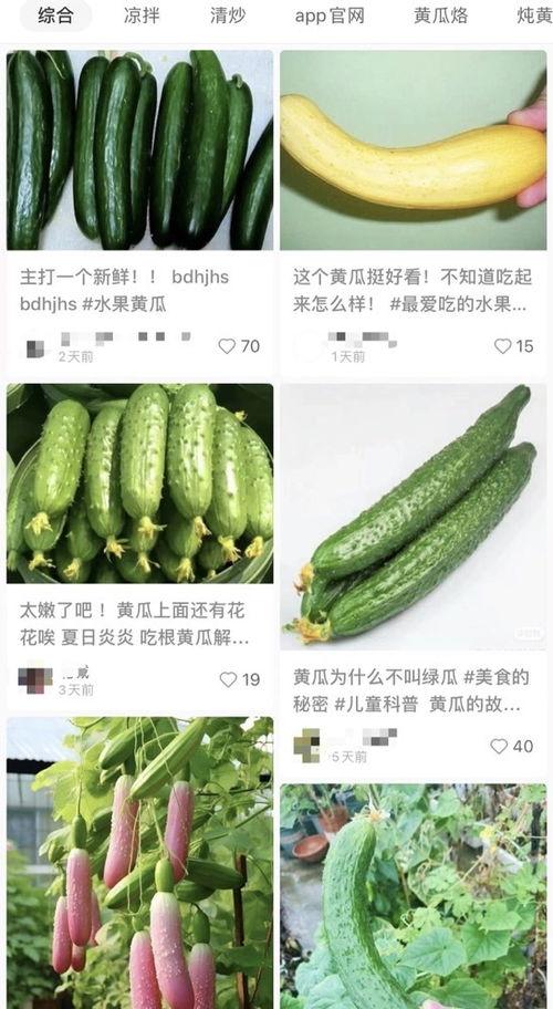 黄瓜的爆料视频在哪看,揭秘热门视频观看途径